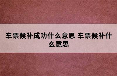 车票候补成功什么意思 车票候补什么意思